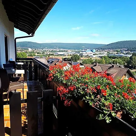 - Spessarttor & Bergwiesen -hier Auf Wunsch Mit Balkon 3* Lohr